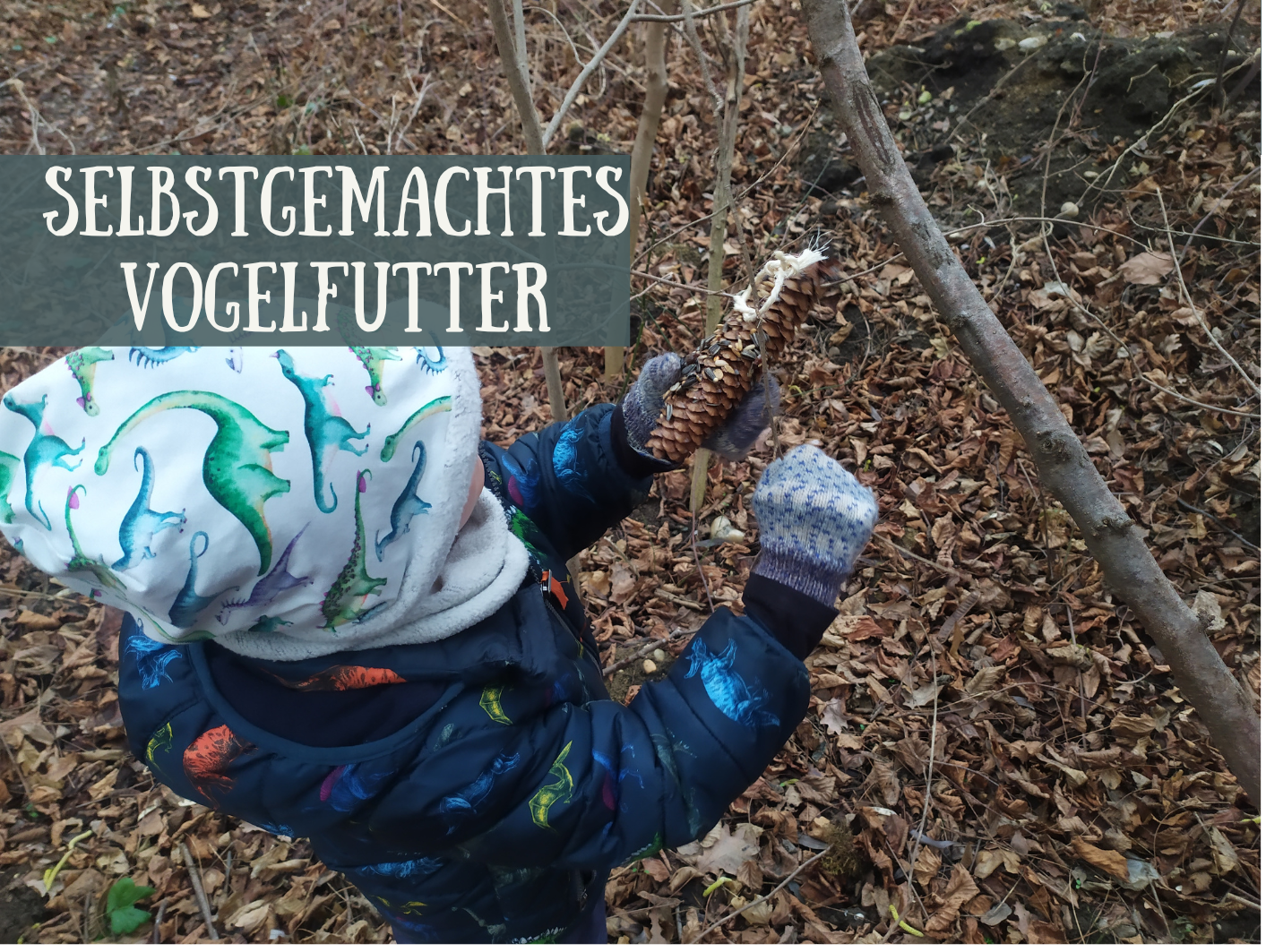 Waldfroesche 4 6 Jahre 8 1024x770